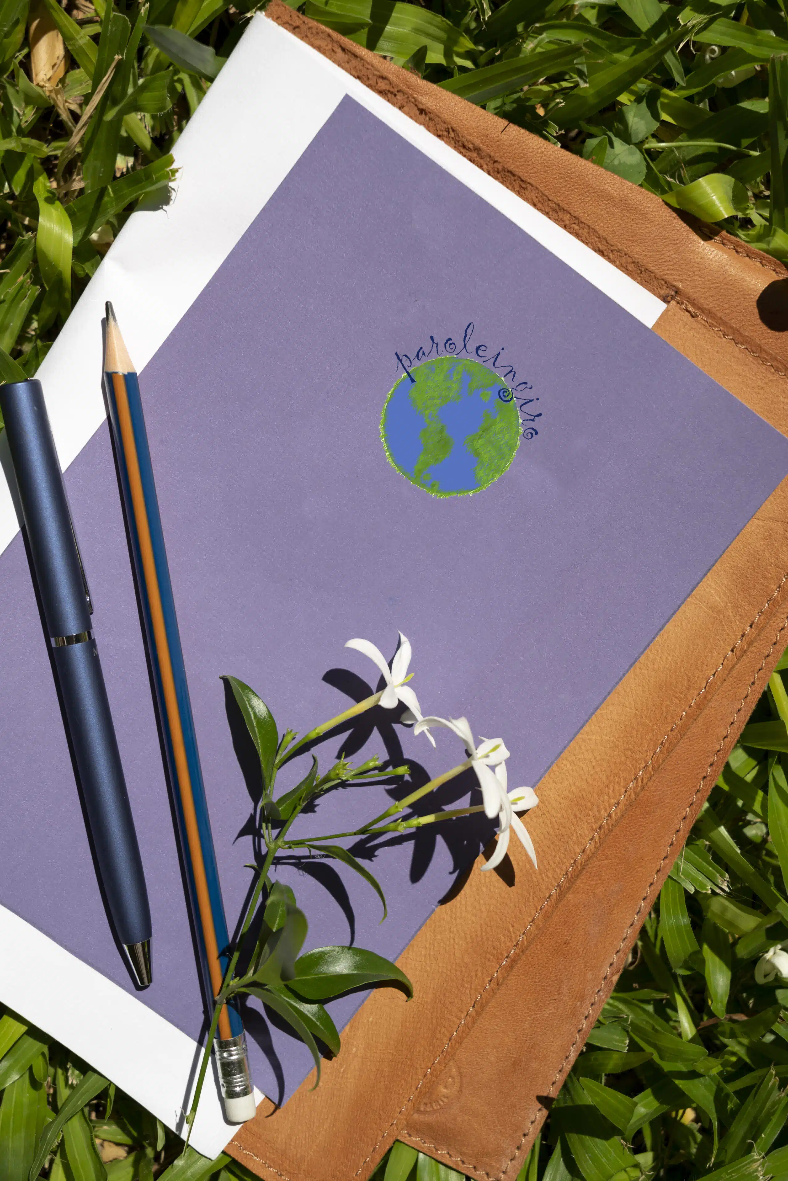 Agenda per trascrizione articoli