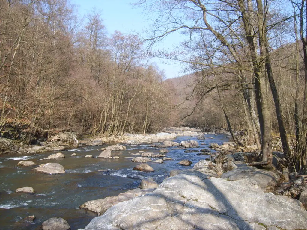Fond de Quarreux ruscello