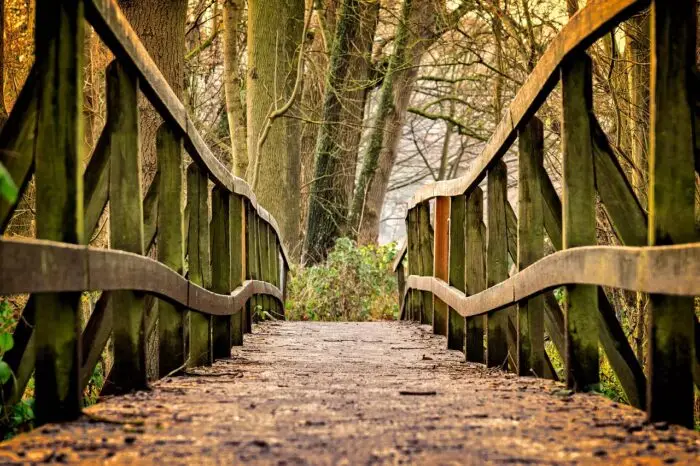 Passerelle di legno sul fiume Ponte in legno