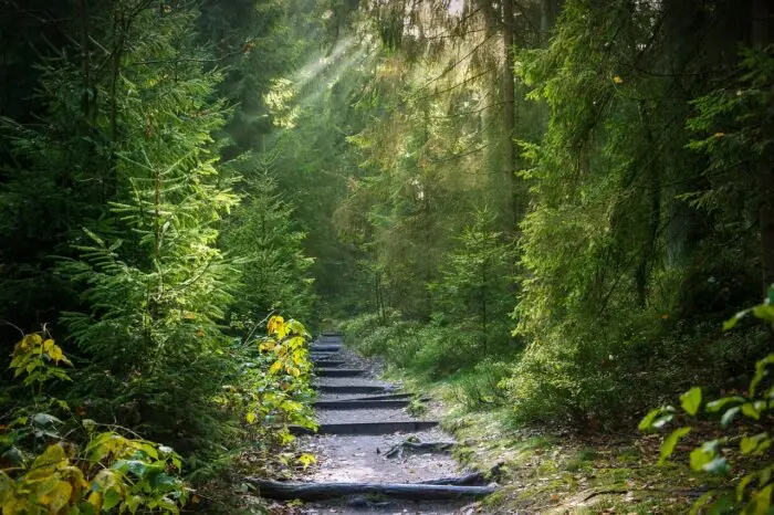 3 parchi naturali da non perdere lungo la Parigi-Roubaix Parco naturale con scalinata