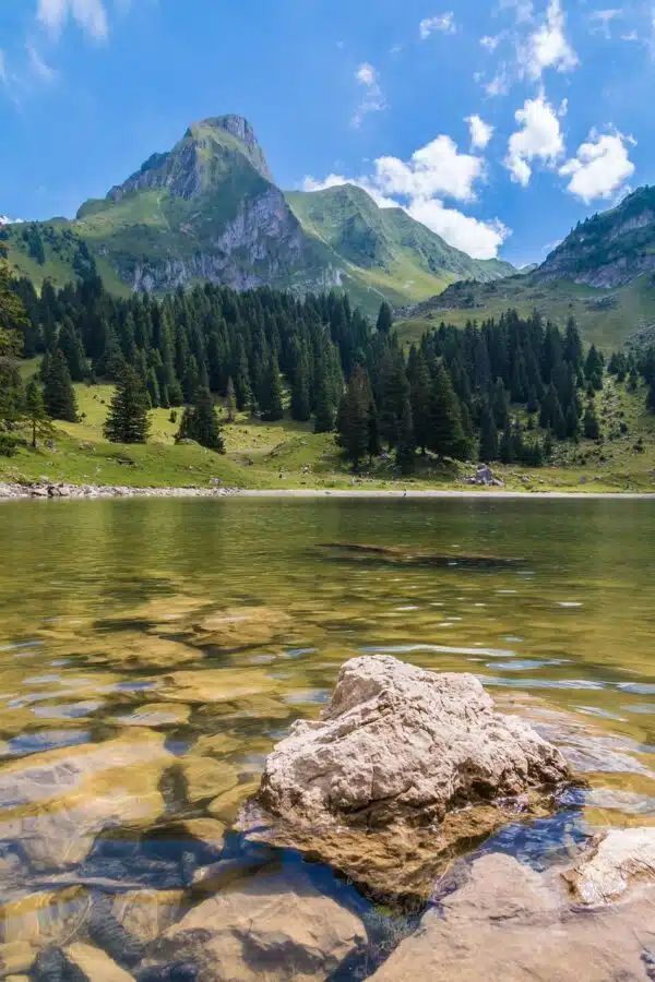 Paesaggio di montagna