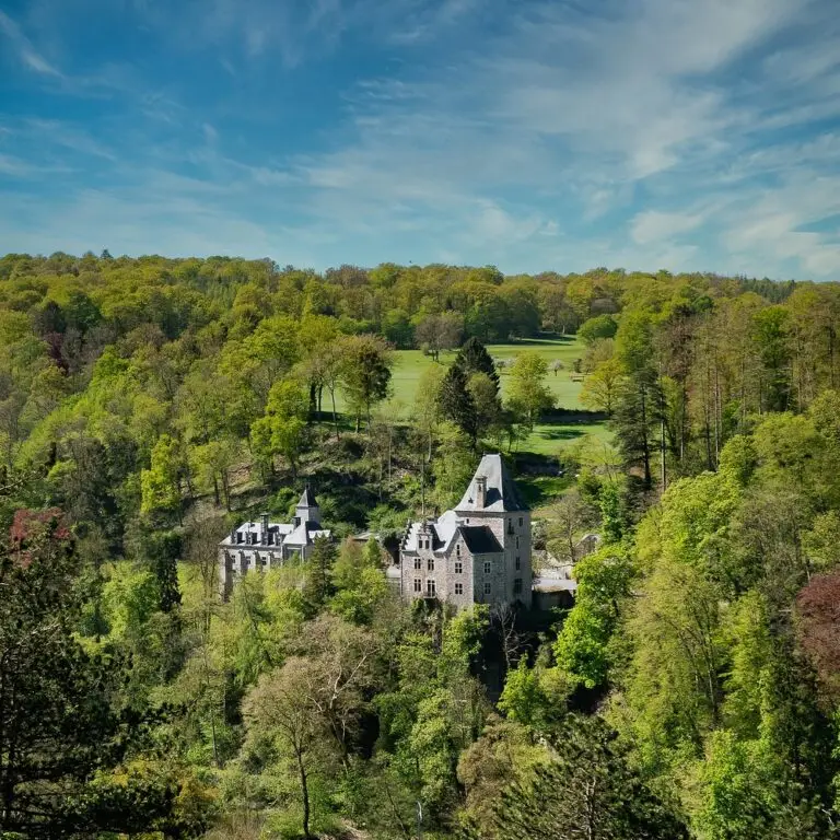Paesaggio con castello immerso nel verde