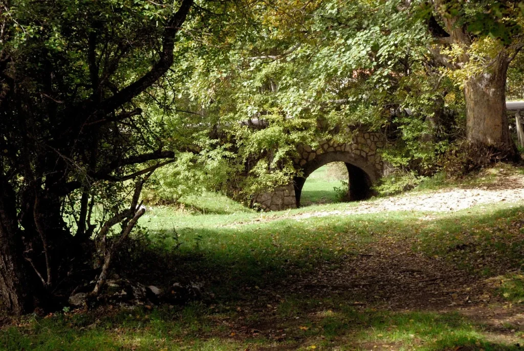 Bosco di Pescocostanzo