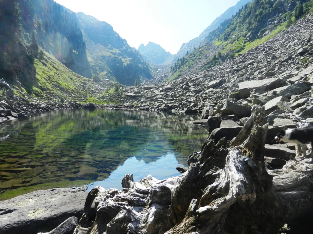 Piccolo lago di montagna