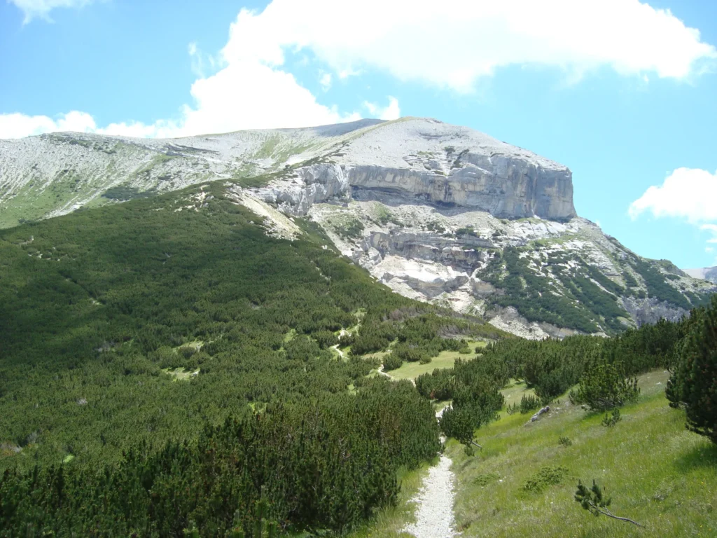 Veduta di Monte Focalone