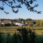 Piccolo villaggio del Limburgo meridionale con case a graticcio, campanile sullo sfondo e cavalli al pascolo in una luce dorata