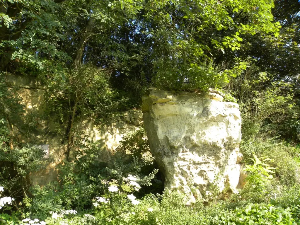 Affioramento roccioso di calcare del Maastrichtiano lungo la Mennestraat a Zichen-Zussen-Bolder, frazione di Riemst, circondato da vegetazione