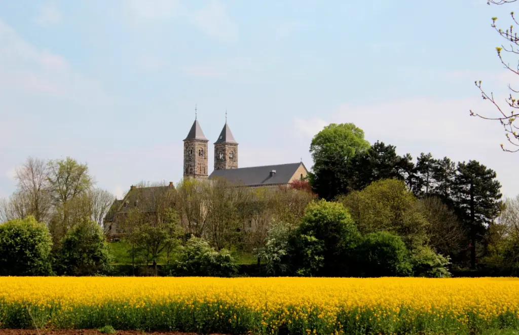 Chiesa romanica con torri gemelle che emerge tra gli alberi, con un campo di colza in fiore in primo piano nella campagna del Limburgo