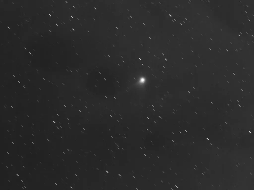 Immagine astronomica in bianco e nero di una cometa ripresa dall'osservatorio di Calar Alto, con le stelle che appaiono come tracce per l'inseguimento del telescopio