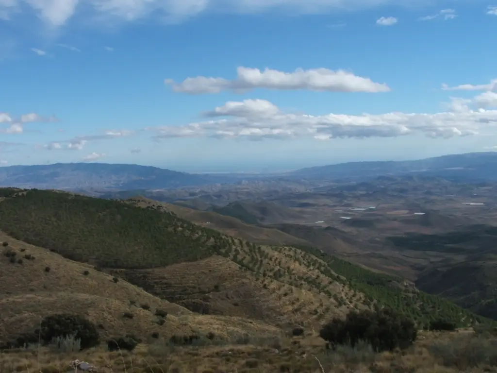 Panorama dalla Sierra de los Filabres sulla piana di Almería, con pendii terrazzati e rimboschiti in primo piano e il mare all'orizzonte