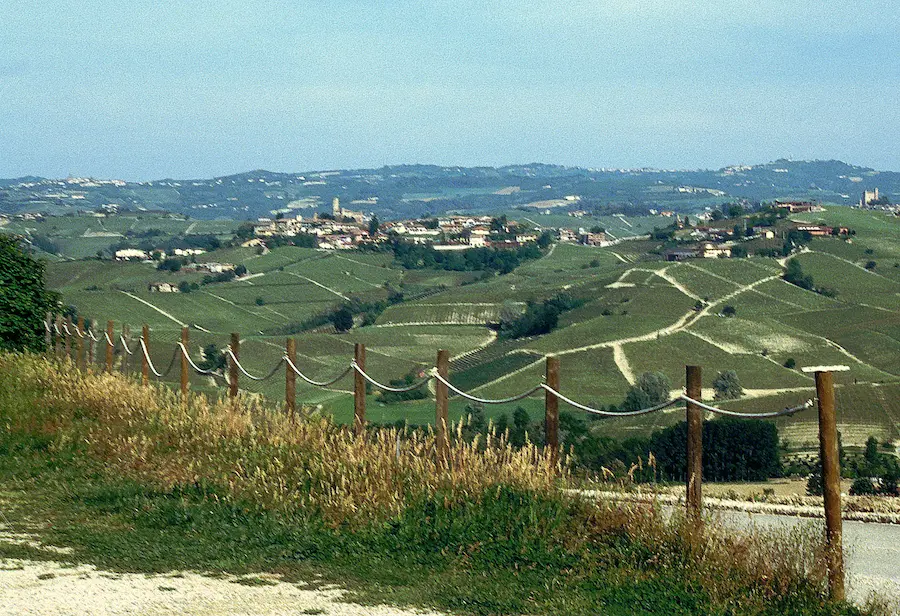 Colline e vigneti delle Langhe osservati da La Morra