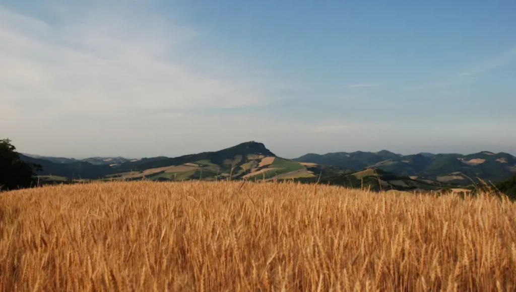 Val di Zena, Monte delle Formiche nell'Appennino bolognese