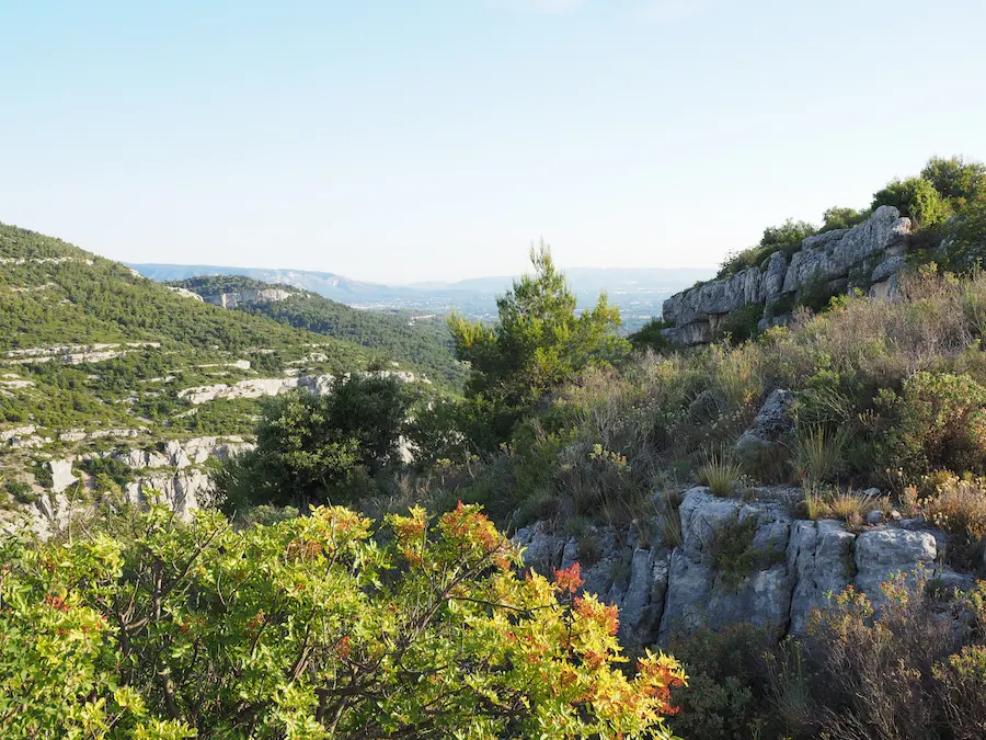 Paesaggio carsico con affioramenti rocciosi chiari e vegetazione mediterranea, vista su una vallata in lontananza