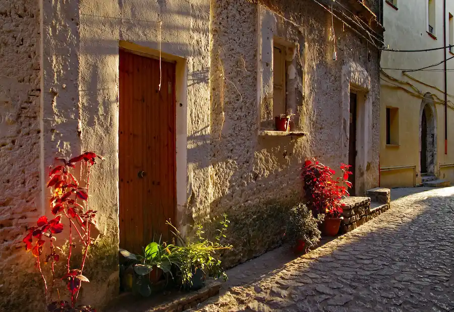 Vicolo acciottolato di un borgo storico, con facciate in pietra, porta in legno e piante illuminate dalla luce calda del sole.