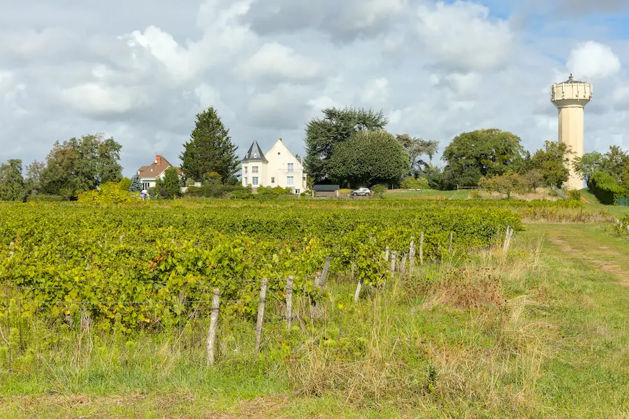 Vigneti di Rochecorbon con un sentiero erboso, alcune abitazioni e una torre dell’acqua sullo sfondo