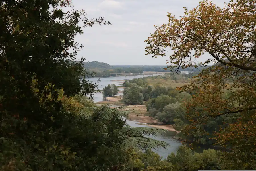 Panorama della Loira in autunno, con il fiume che attraversa un paesaggio naturale circondato da alberi e vegetazione dai colori autunnali